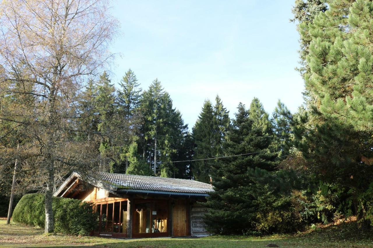 Gasthaus Staude Triberg im Schwarzwald Exterior photo